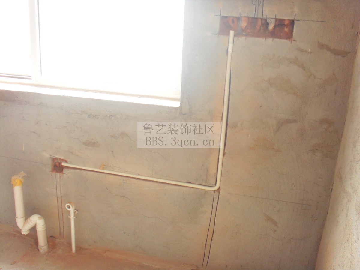 SDC11678.jpg