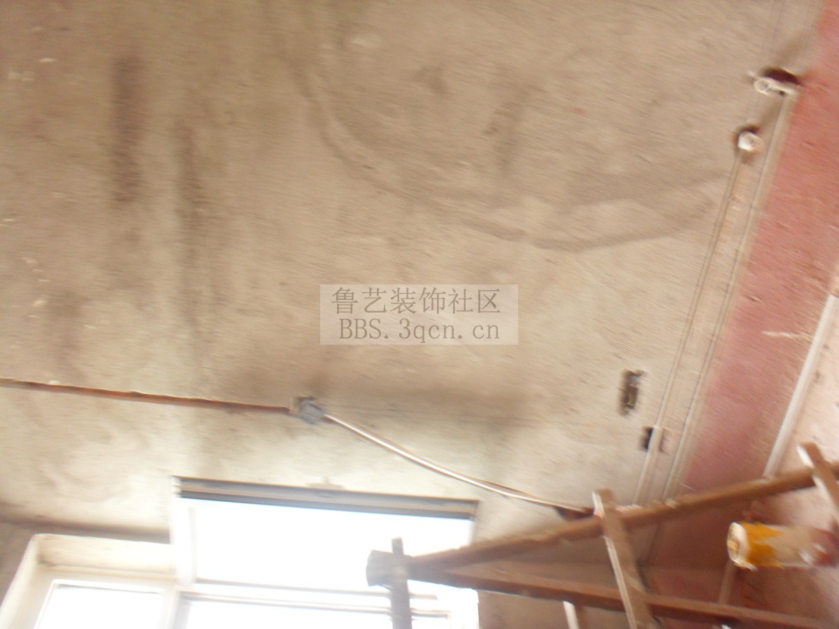 SDC11682.jpg