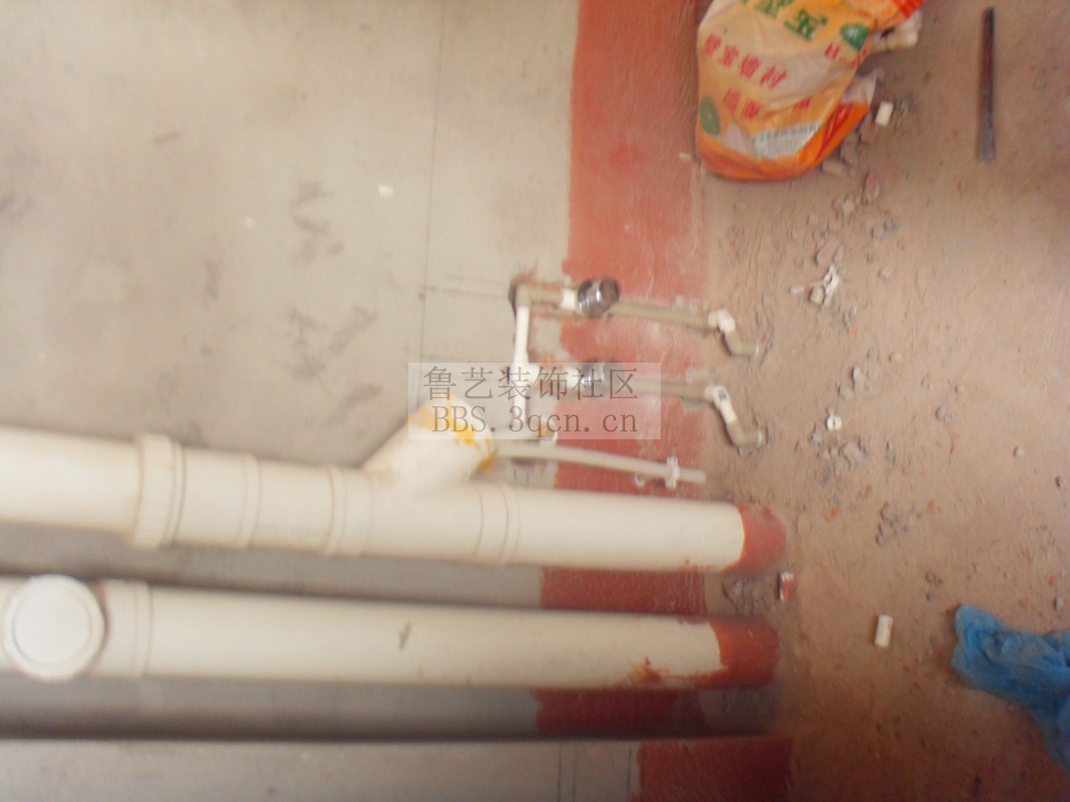 SDC11683.jpg