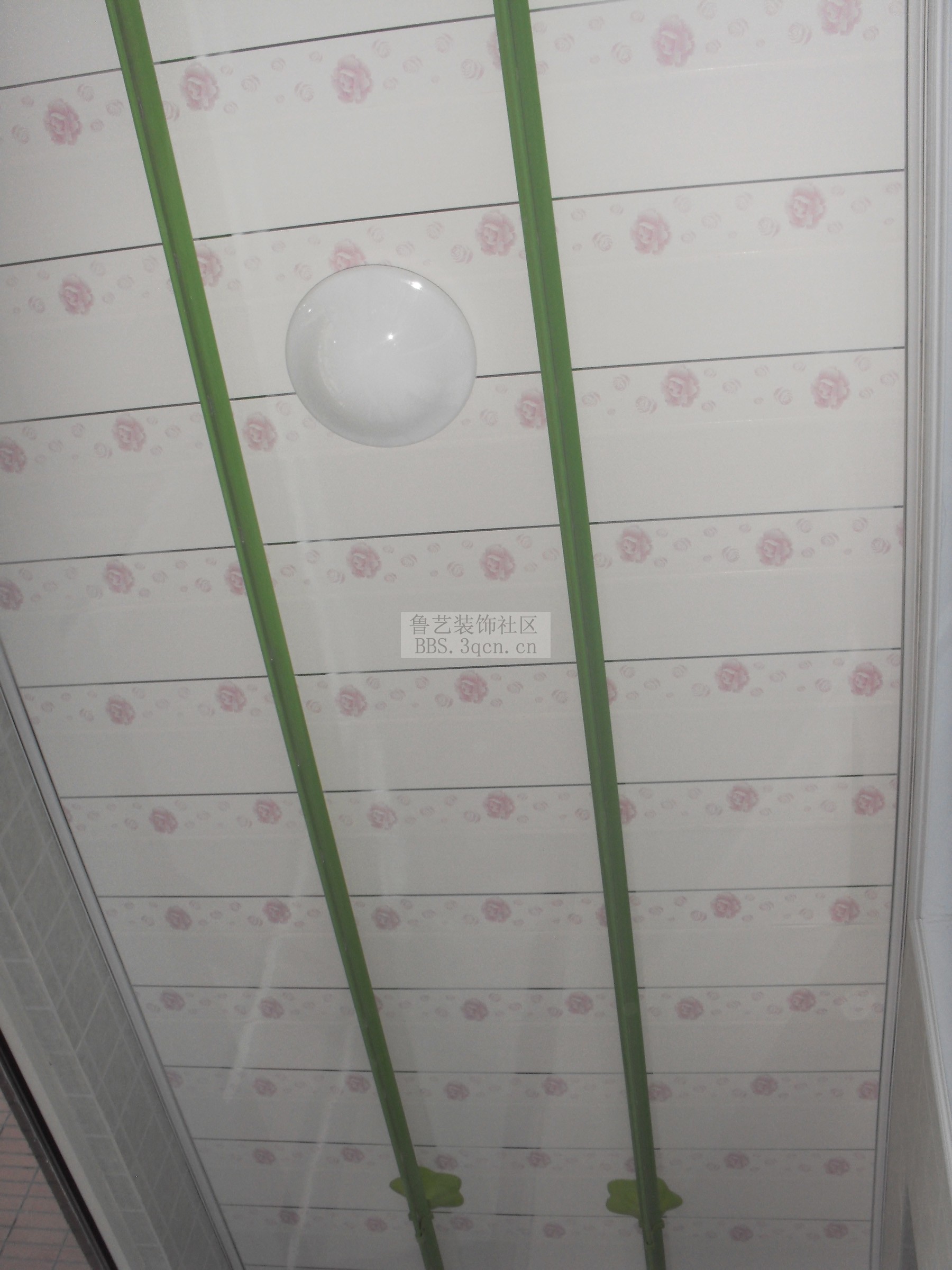 SDC10976.jpg
