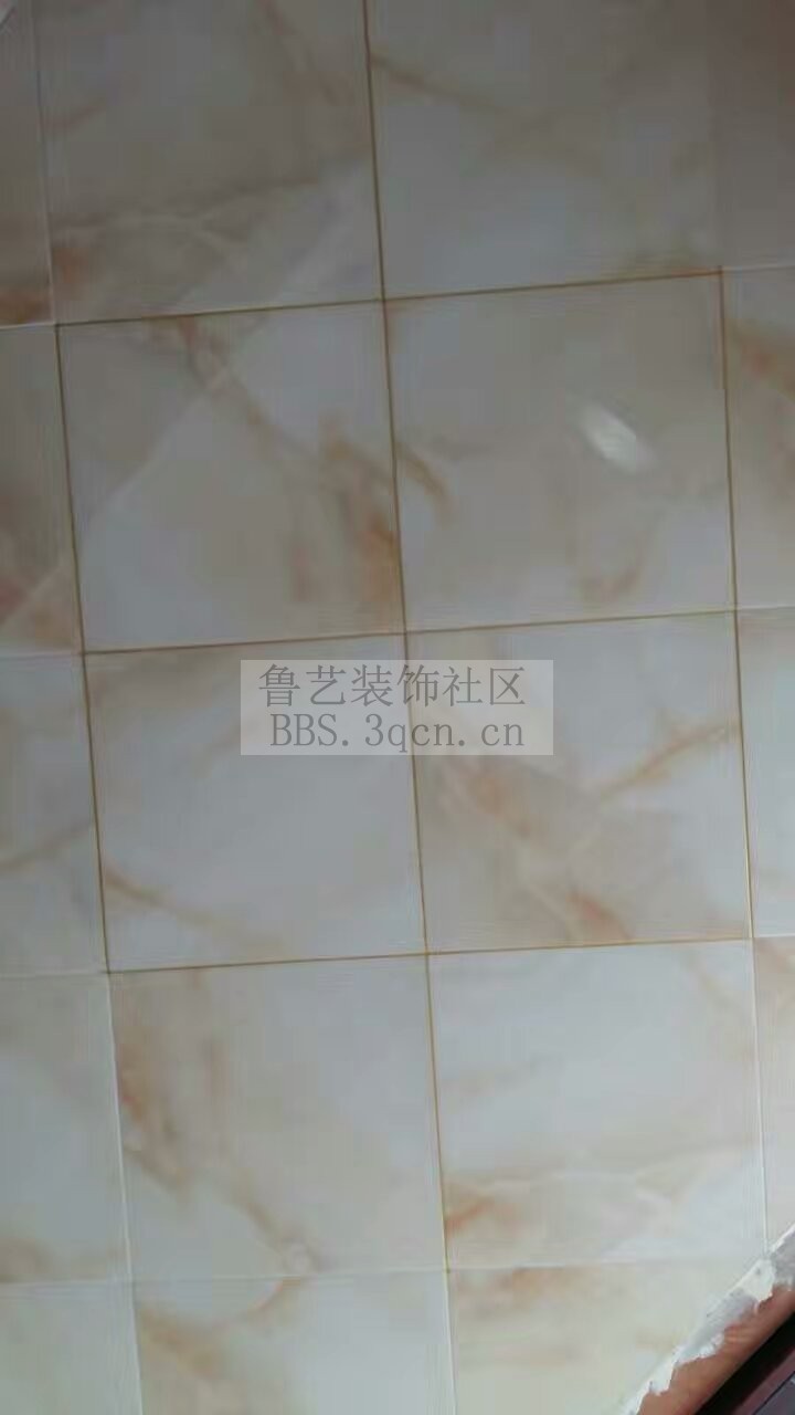 mmexport1478528043818.jpg