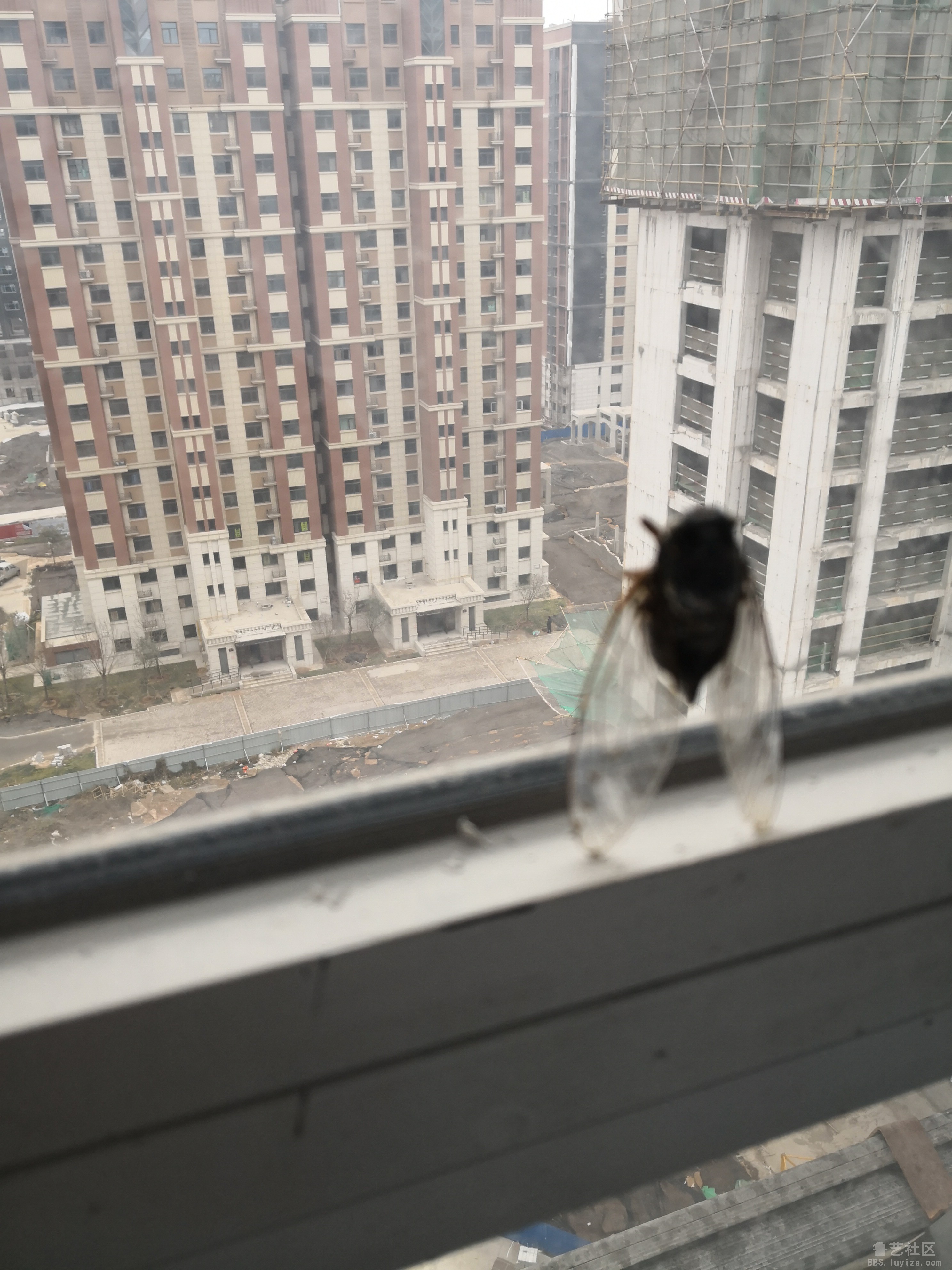 IMG_20181205_151928.jpg